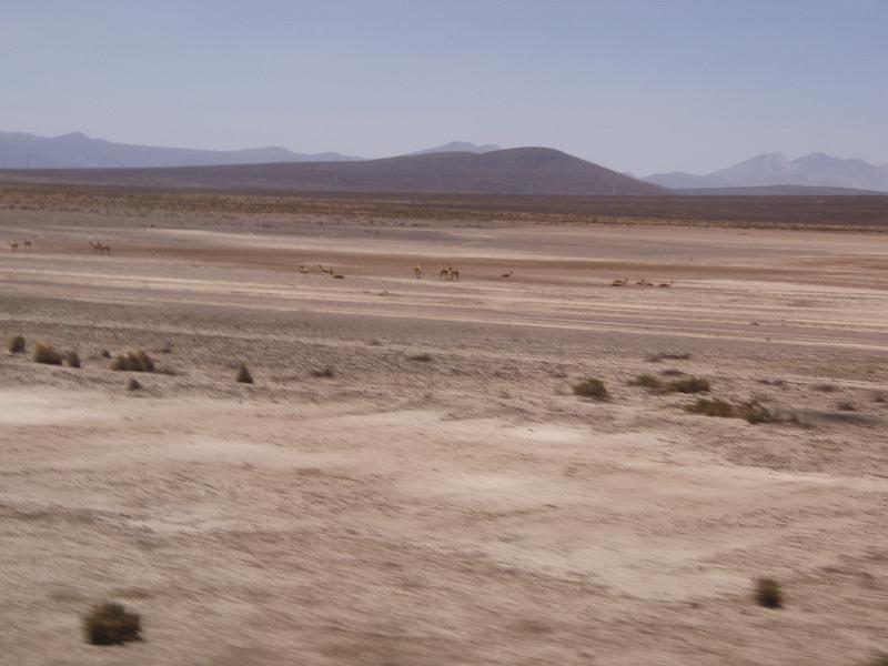 Bus to La Paz (3).JPG